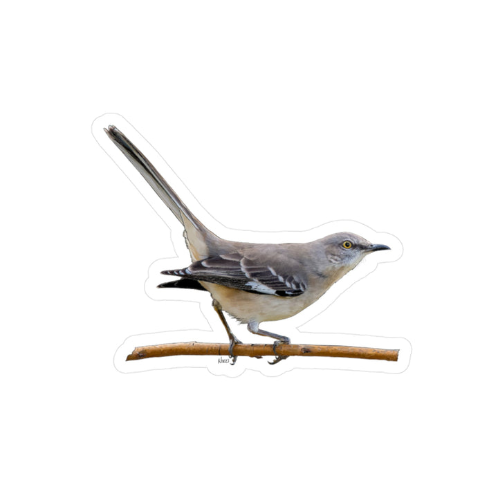 Mockingbird Vinyl Sticker – Realistic Bird Kiss-Cut Decal for Laptops, Water Bottles & Windows