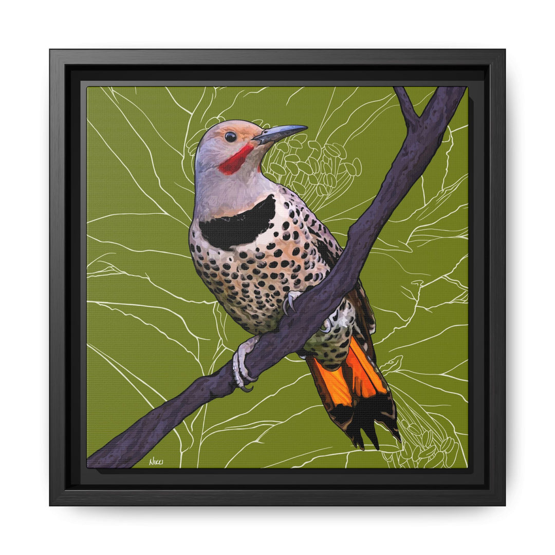Northern Flicker (Yellowhammer): Alabama State Bird: — Framed Canvas Print Wall Art