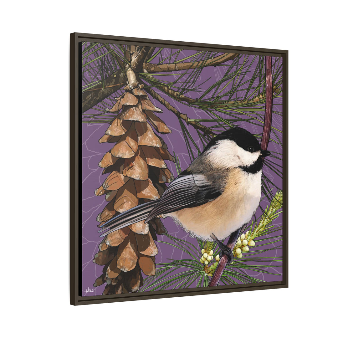 Black-capped Chickadee: Maine State Bird — Framed Canvas Print