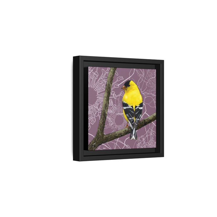 Goldfinch: Washington State Bird — Framed Canvas Print Wall Art