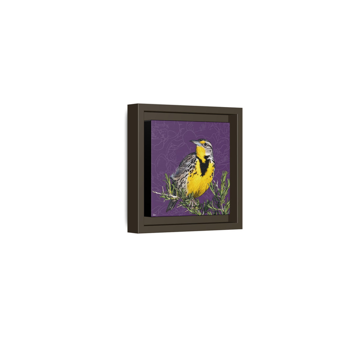 Western Meadowlark: North Dakota State Bird — Framed Canvas Print