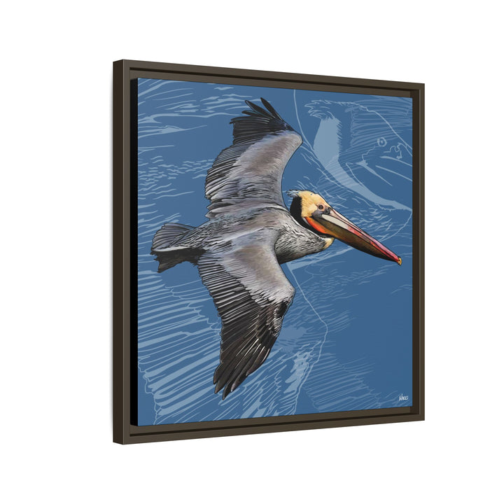 Brown Pelican: Louisiana State Bird  —  Framed Canvas Print