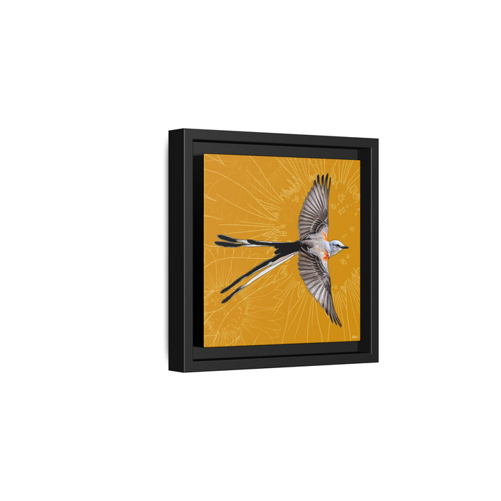 Scissor Tailed Flycatcher: Oklahoma State Bird — Framed Canvas Print Wall Art