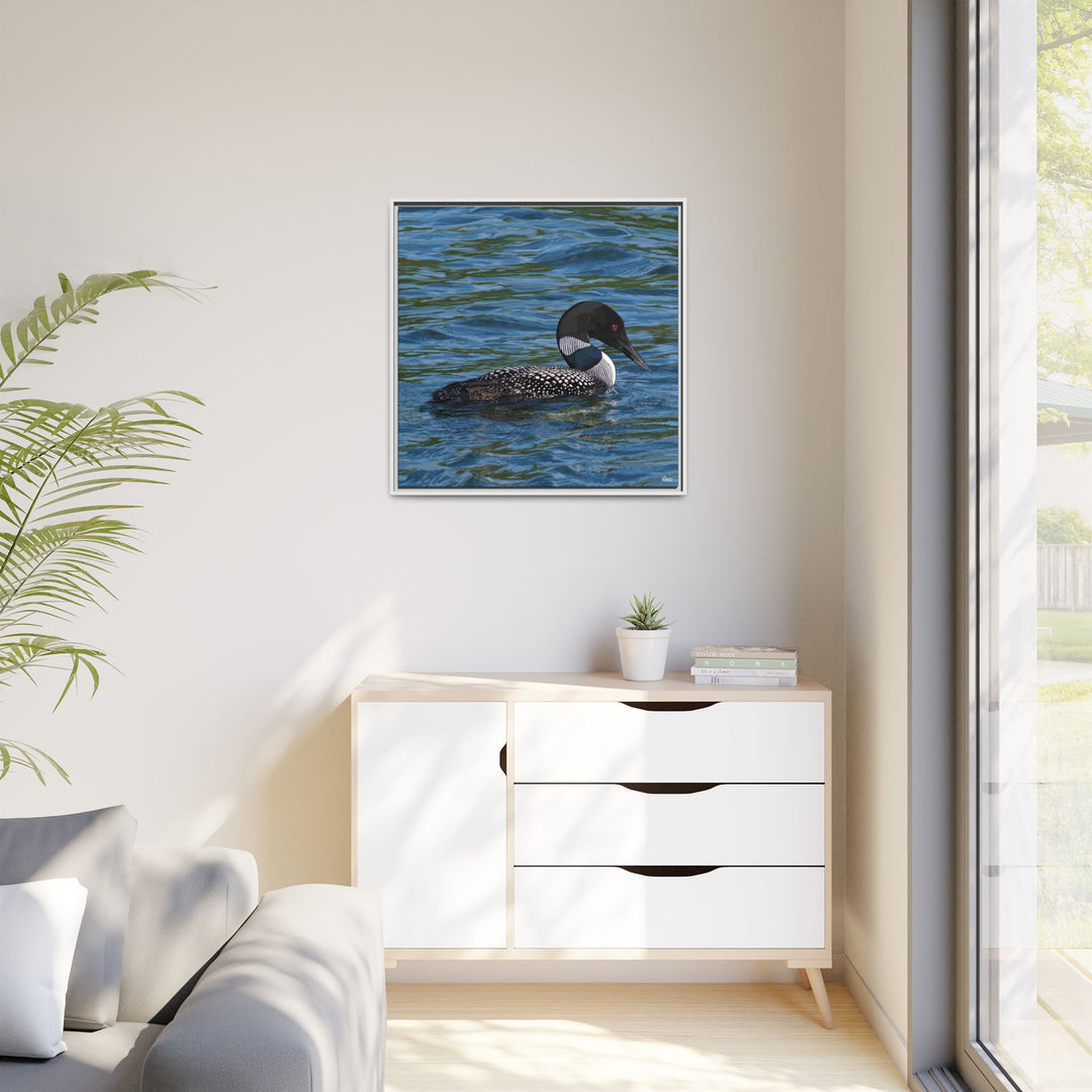 Common Loon: Minnesota State Bird — Framed Canvas Print Wall Art