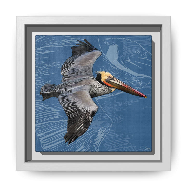 Brown Pelican: Louisiana State Bird  —  Framed Canvas Print