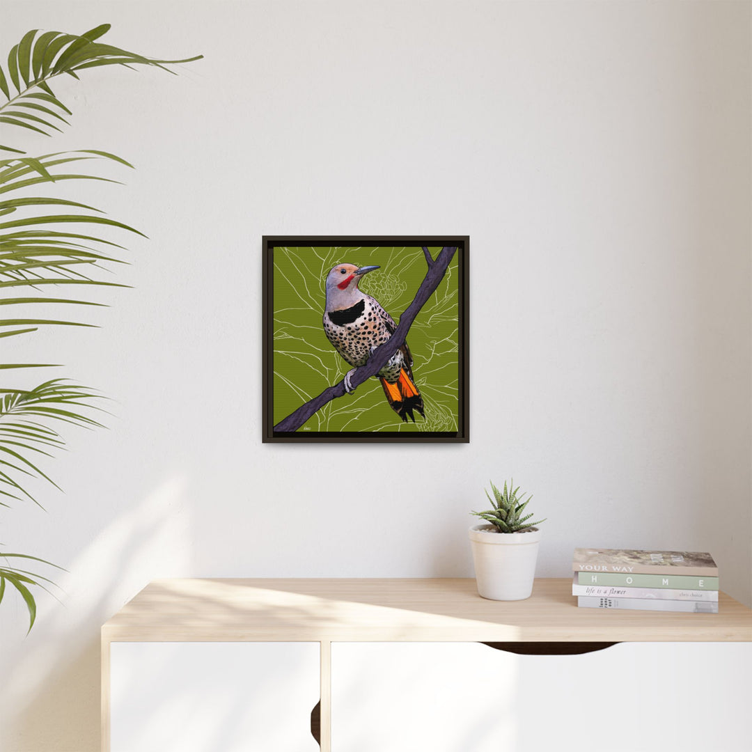 Northern Flicker (Yellowhammer): Alabama State Bird: — Framed Canvas Print Wall Art