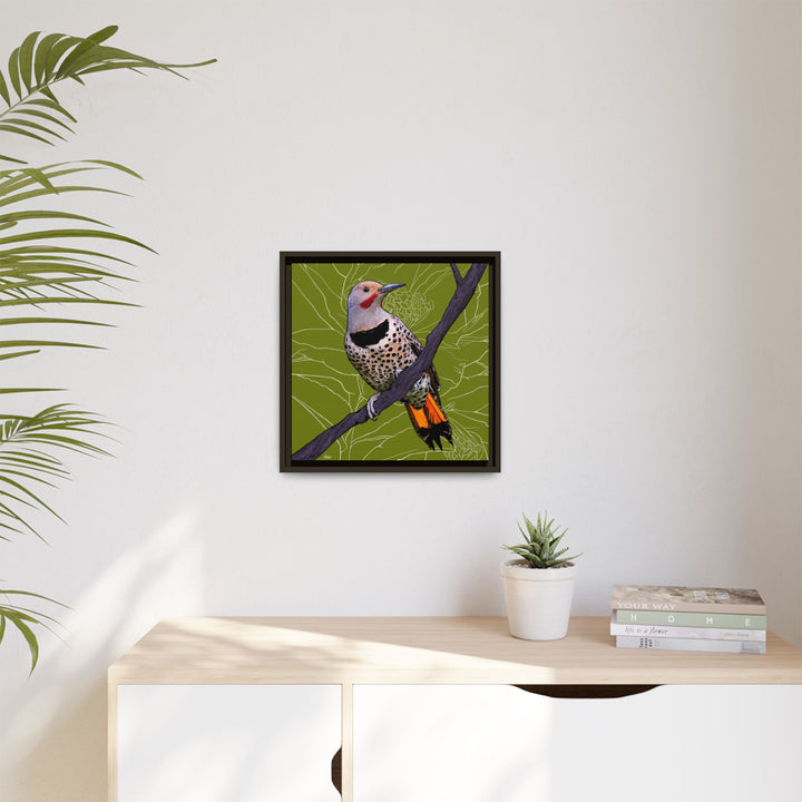 Northern Flicker (Yellowhammer): Alabama State Bird: — Framed Canvas Print Wall Art