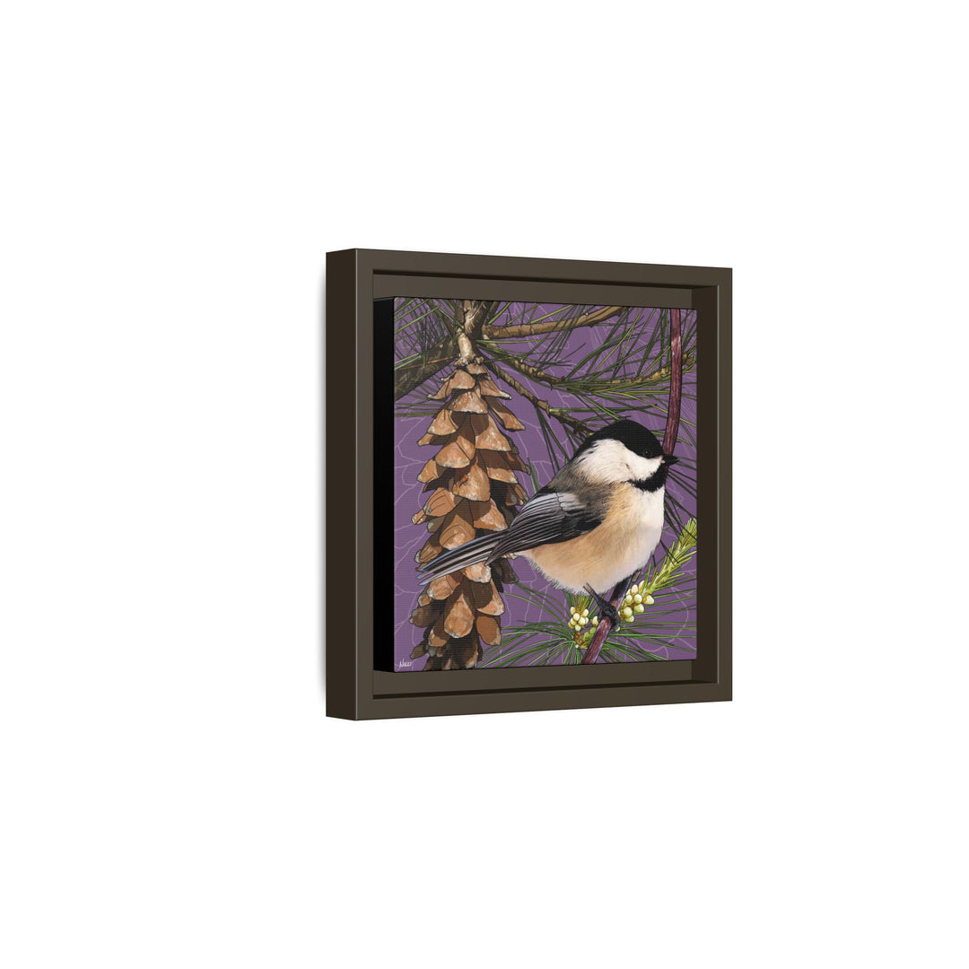 Black-capped Chickadee: Maine State Bird — Framed Canvas Print