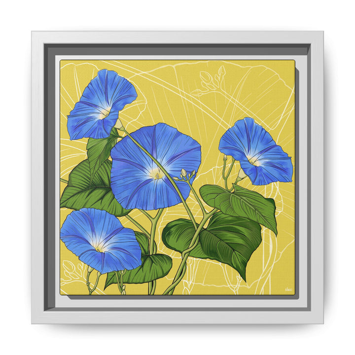 Blue Morning Glory: September Birth Month Flower — Framed Canvas Print Wall Art