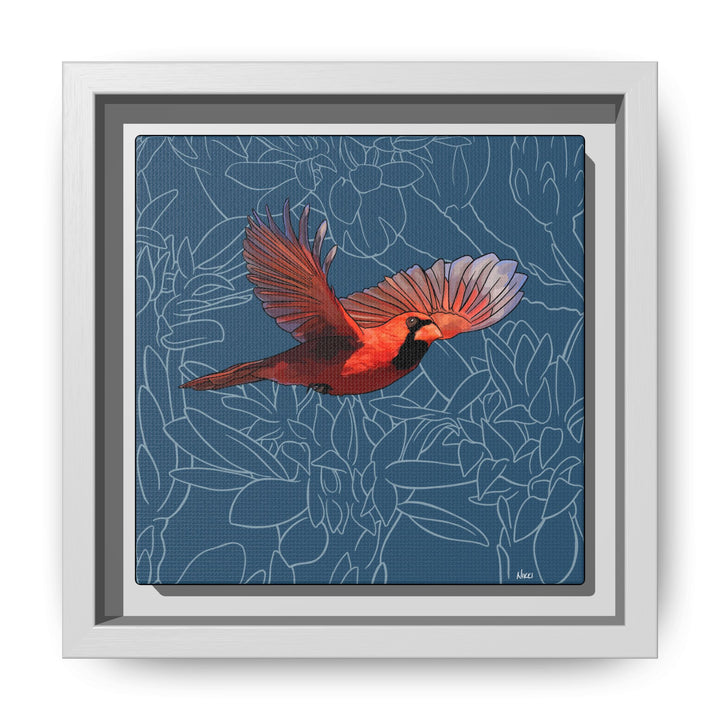 Northern Cardinal: Kentucky State Bird — Framed Canvas Print