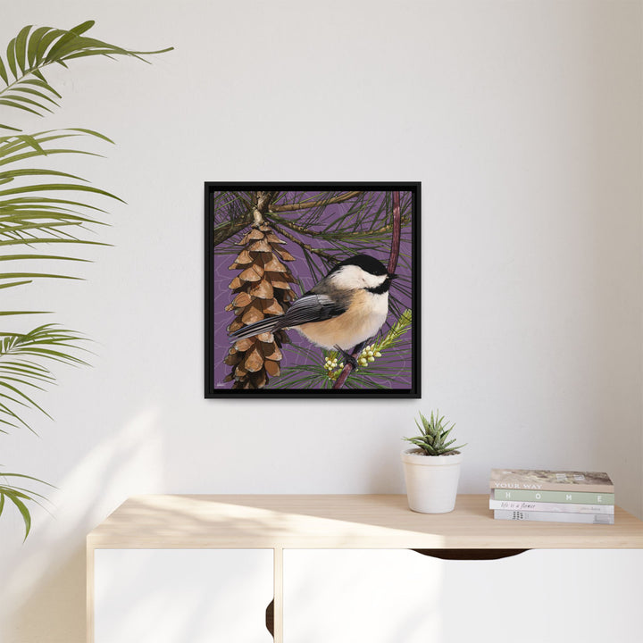 Black-capped Chickadee: Maine State Bird — Framed Canvas Print