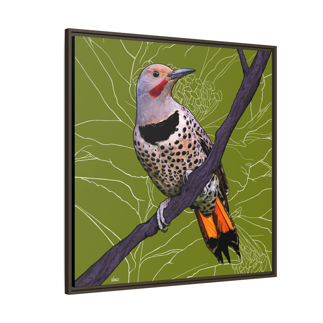 Northern Flicker (Yellowhammer): Alabama State Bird: — Framed Canvas Print Wall Art