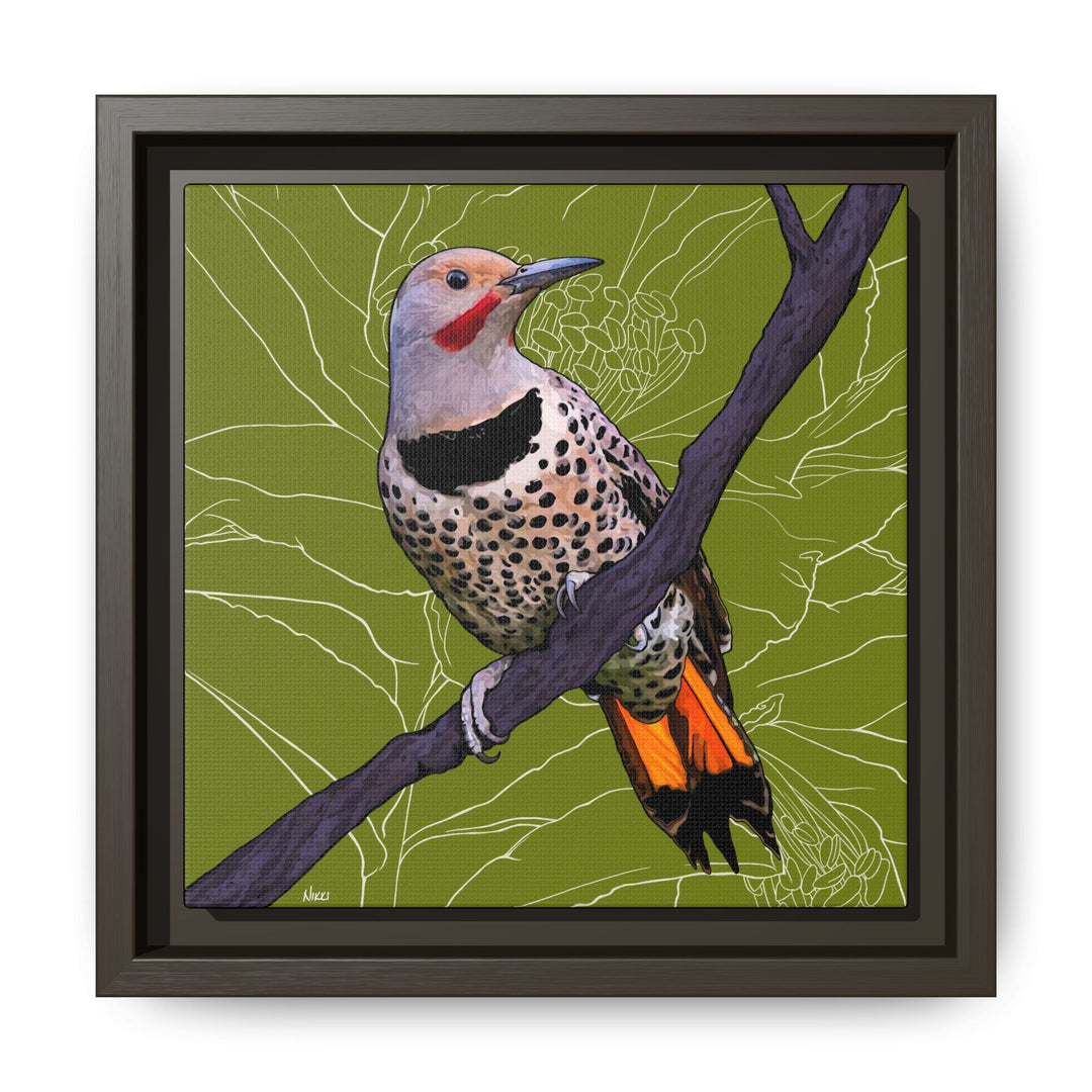 Northern Flicker (Yellowhammer): Alabama State Bird: — Framed Canvas Print Wall Art