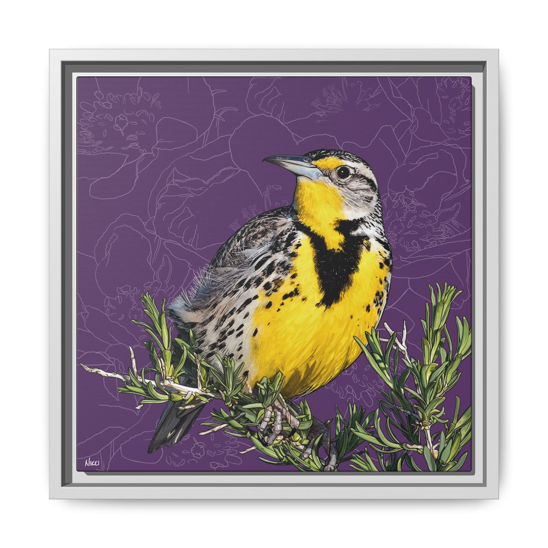 Western Meadowlark: North Dakota State Bird — Framed Canvas Print
