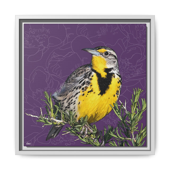 Western Meadowlark: North Dakota State Bird — Framed Canvas Print