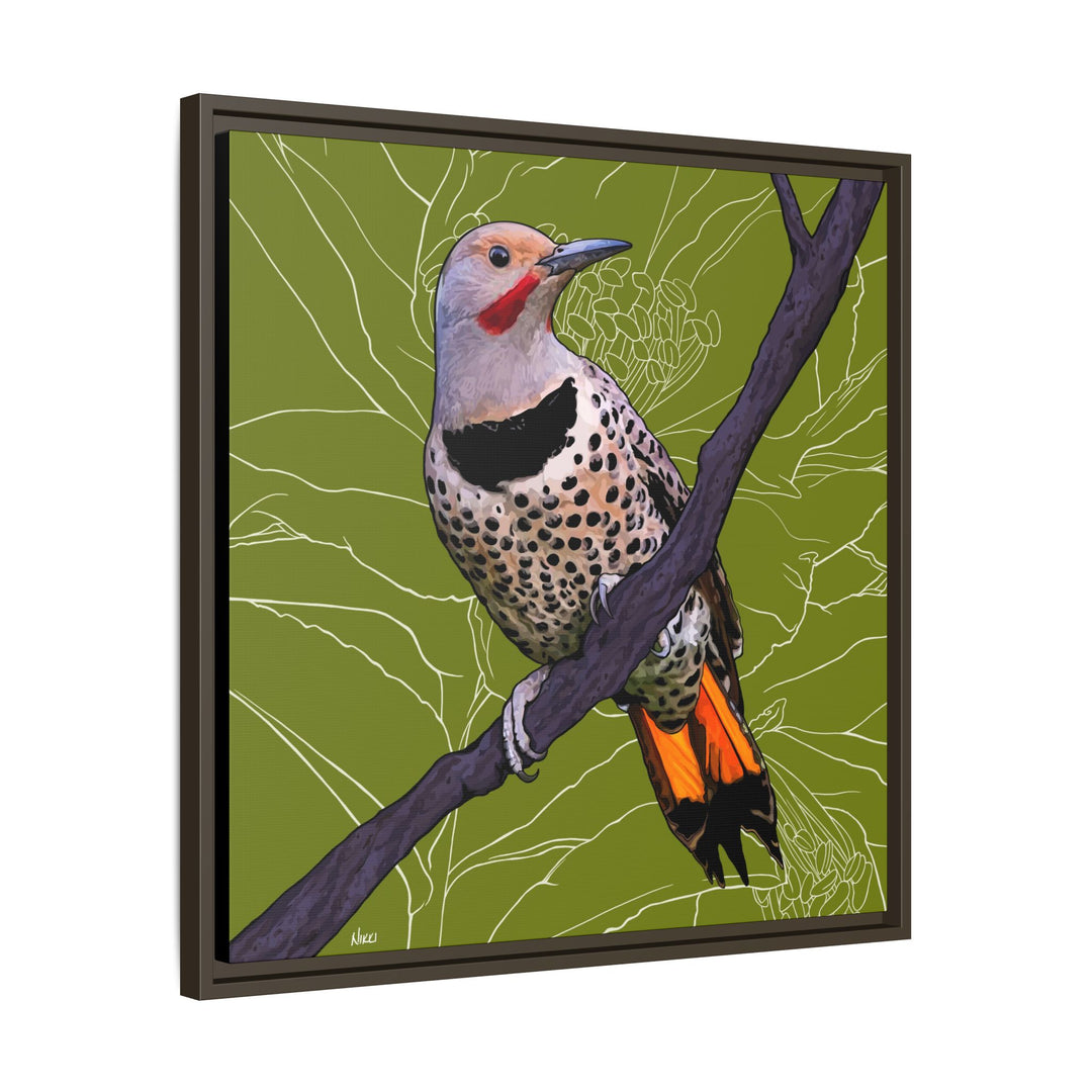 Northern Flicker (Yellowhammer): Alabama State Bird: — Framed Canvas Print Wall Art