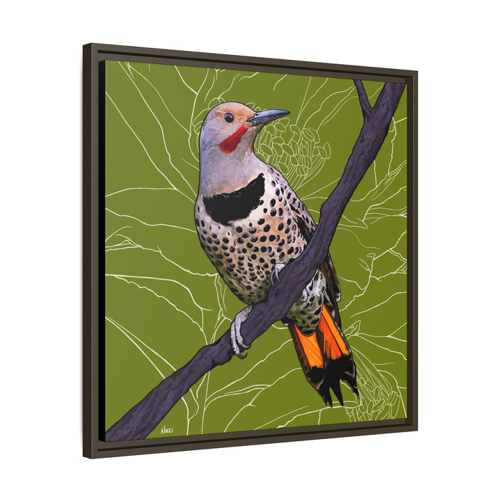 Northern Flicker (Yellowhammer): Alabama State Bird: — Framed Canvas Print Wall Art