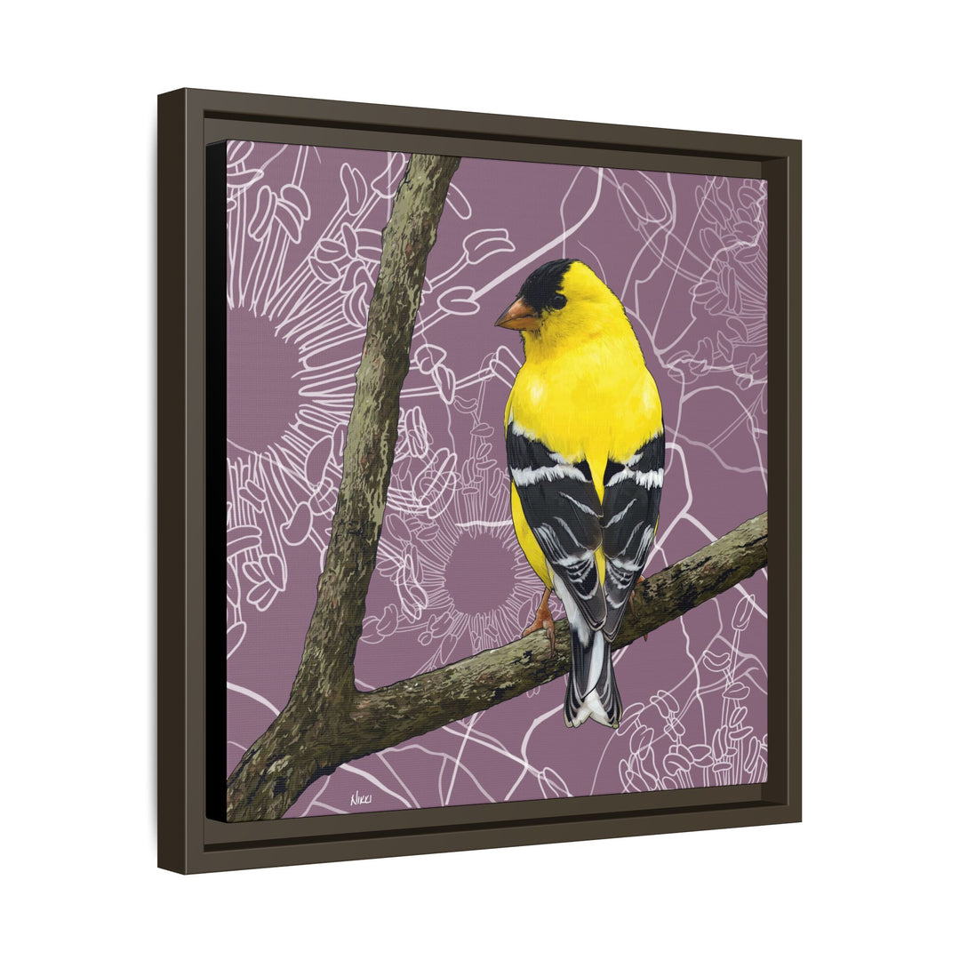 Goldfinch: Washington State Bird — Framed Canvas Print Wall Art
