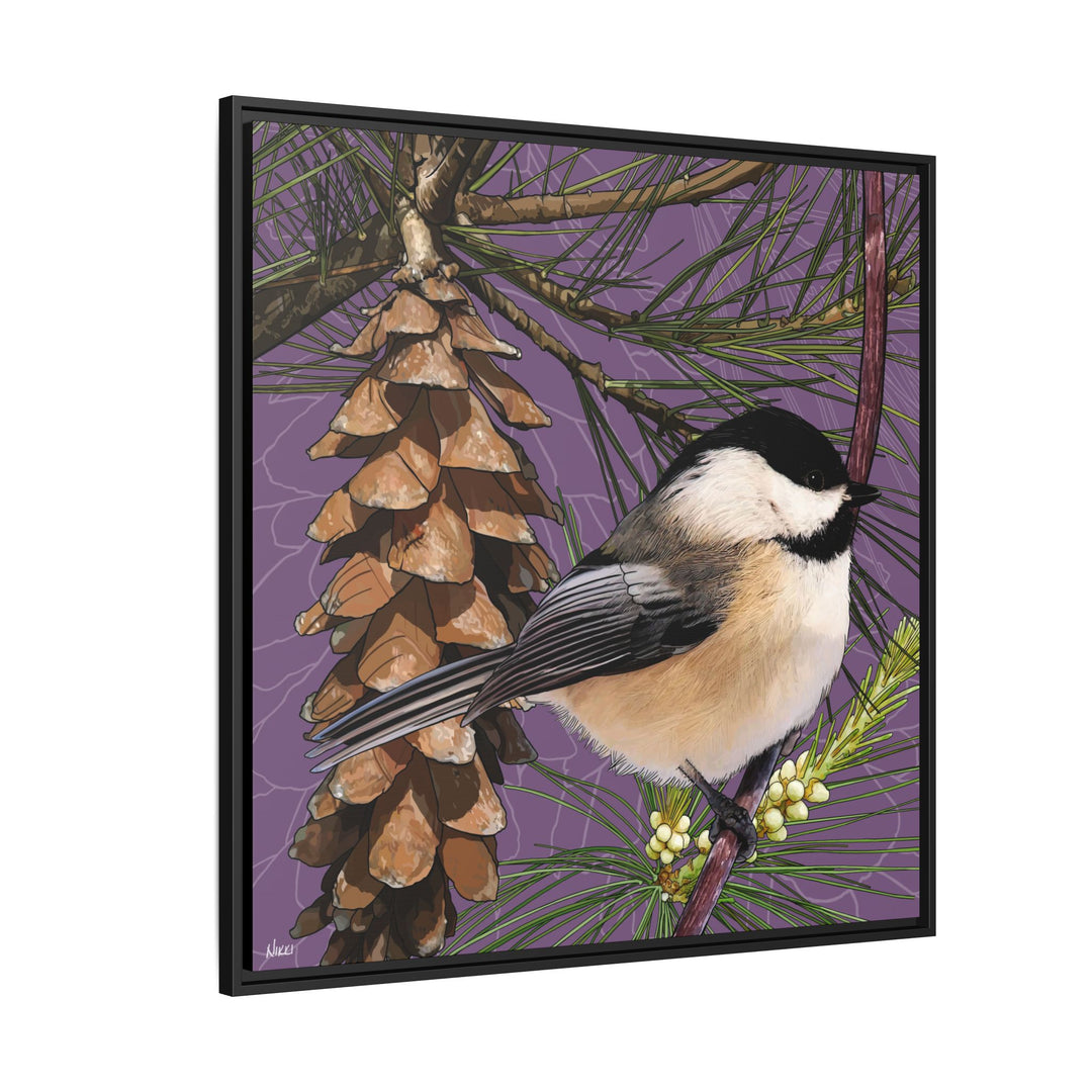 Black-capped Chickadee: Maine State Bird — Framed Canvas Print