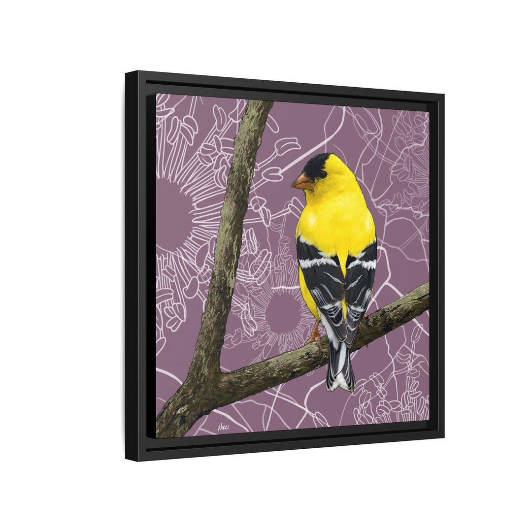 Goldfinch: Washington State Bird — Framed Canvas Print Wall Art