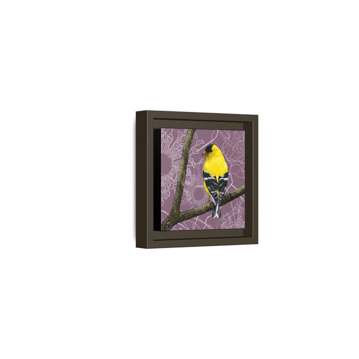 Goldfinch: Washington State Bird — Framed Canvas Print Wall Art