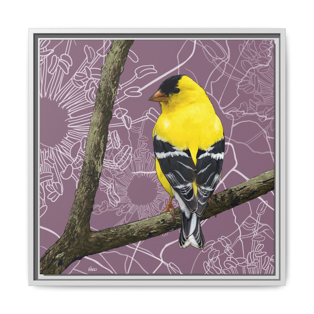 Goldfinch: Washington State Bird — Framed Canvas Print Wall Art