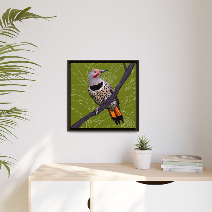 Northern Flicker (Yellowhammer): Alabama State Bird: — Framed Canvas Print Wall Art
