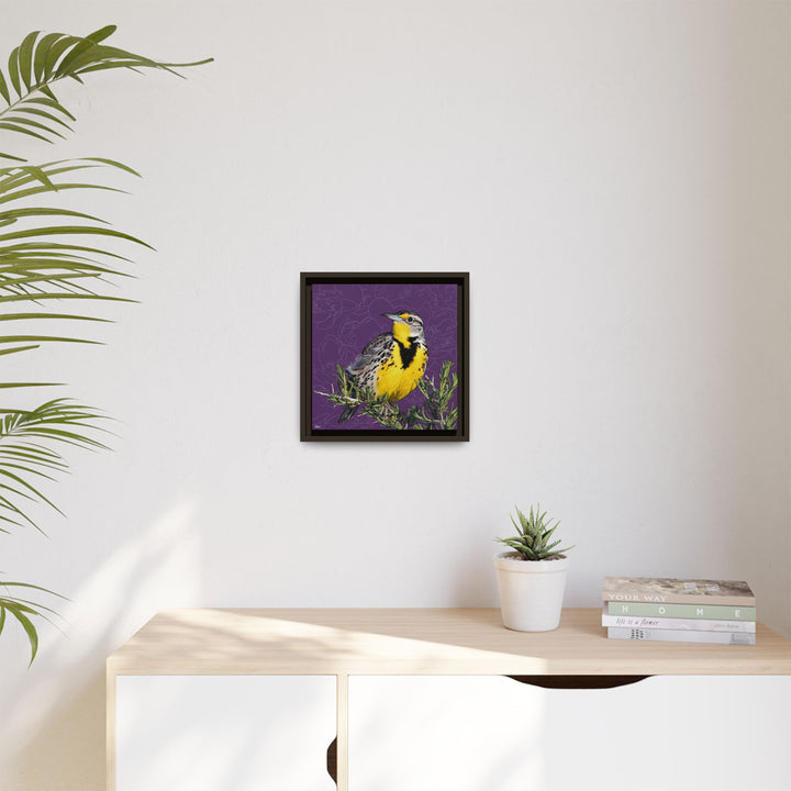 Western Meadowlark: North Dakota State Bird — Framed Canvas Print