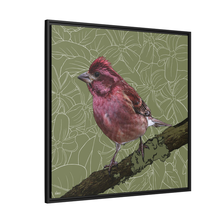 Purple Finch: New Hampshire State Bird — Framed Canvas Print Wall Art