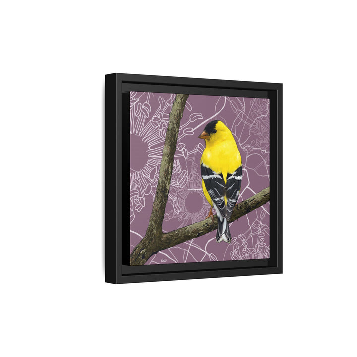 Goldfinch: Washington State Bird — Framed Canvas Print Wall Art