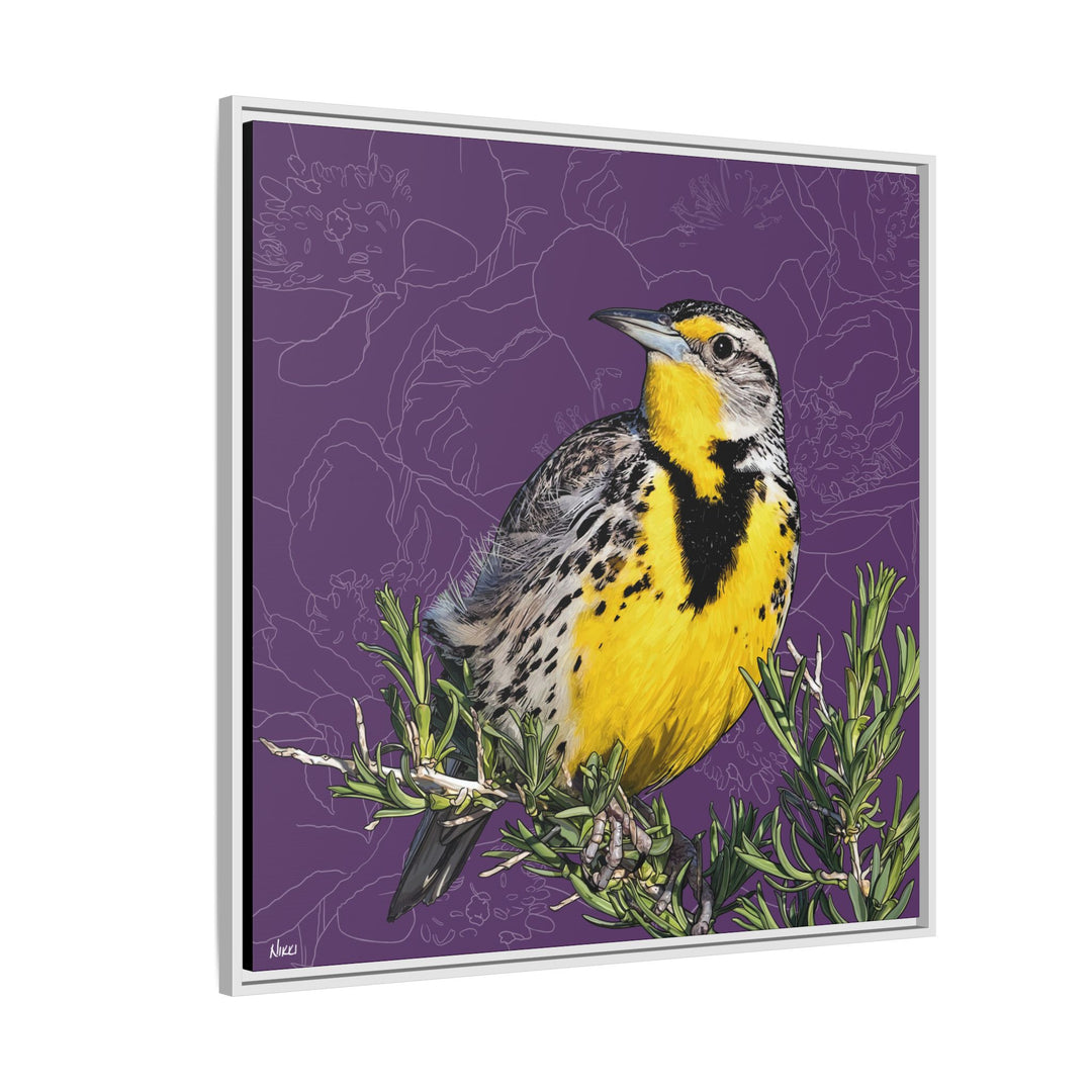 Western Meadowlark: North Dakota State Bird — Framed Canvas Print