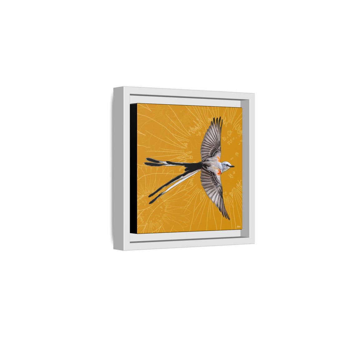 Scissor Tailed Flycatcher: Oklahoma State Bird — Framed Canvas Print Wall Art