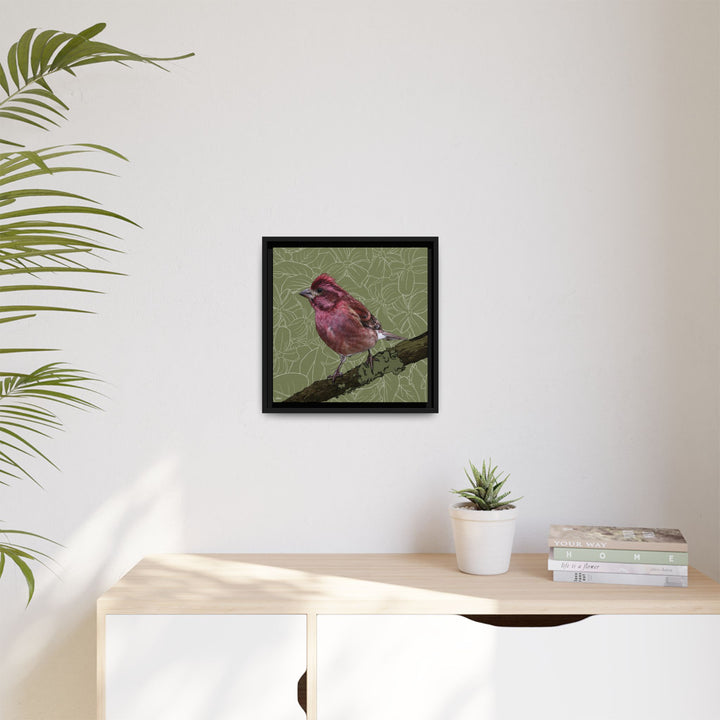 Purple Finch: New Hampshire State Bird — Framed Canvas Print Wall Art