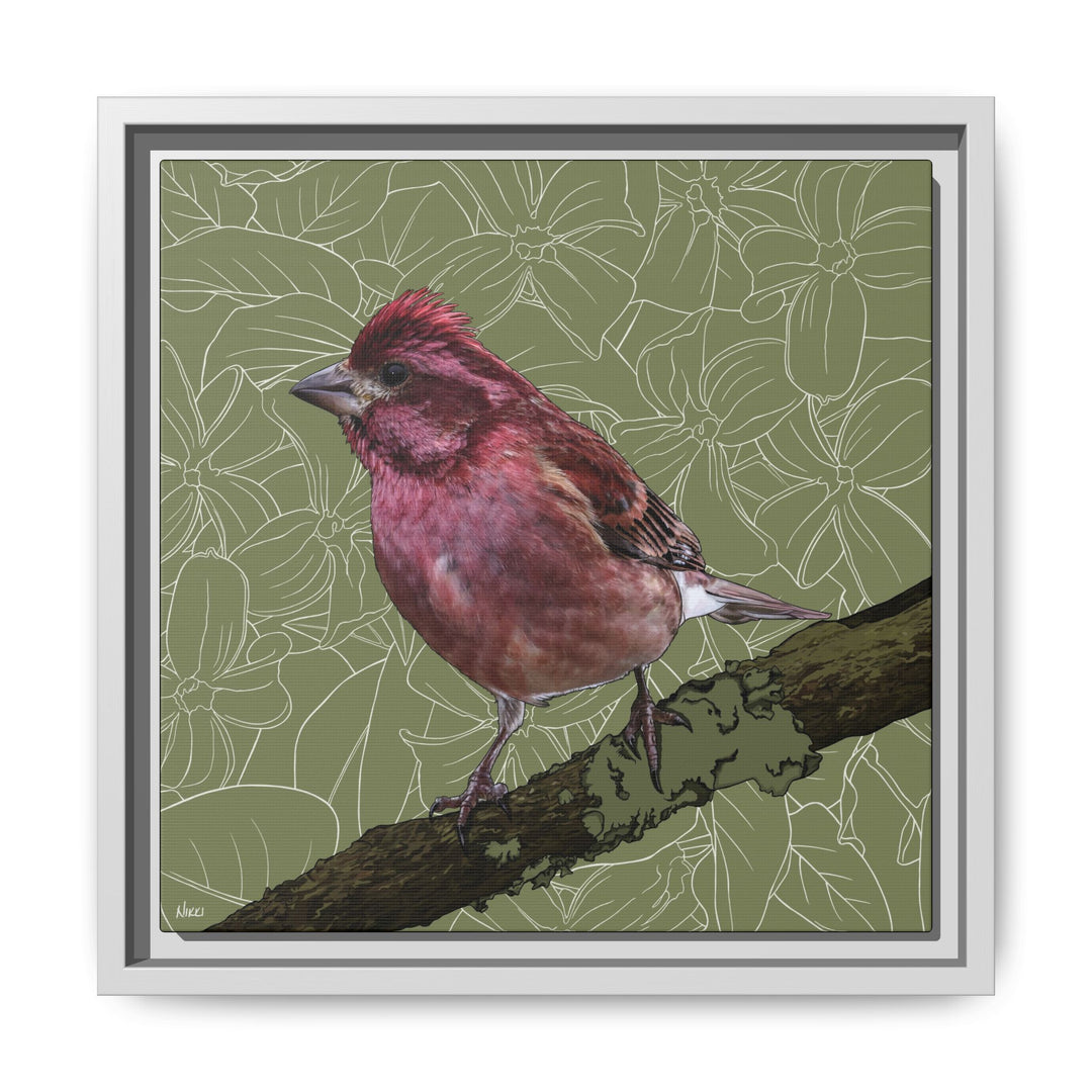 Purple Finch: New Hampshire State Bird — Framed Canvas Print Wall Art