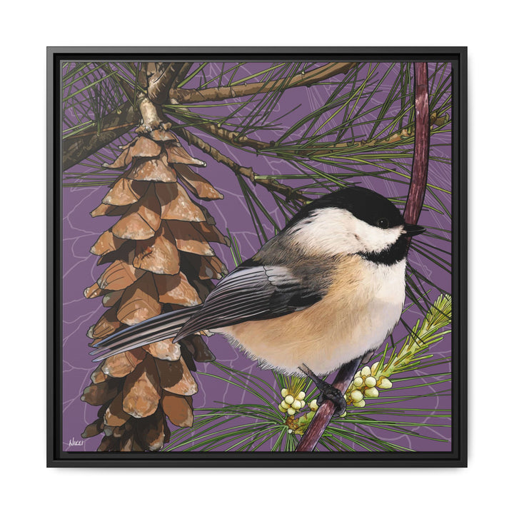 Black-capped Chickadee: Maine State Bird — Framed Canvas Print