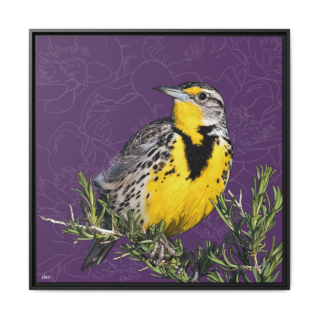 Western Meadowlark: North Dakota State Bird — Framed Canvas Print