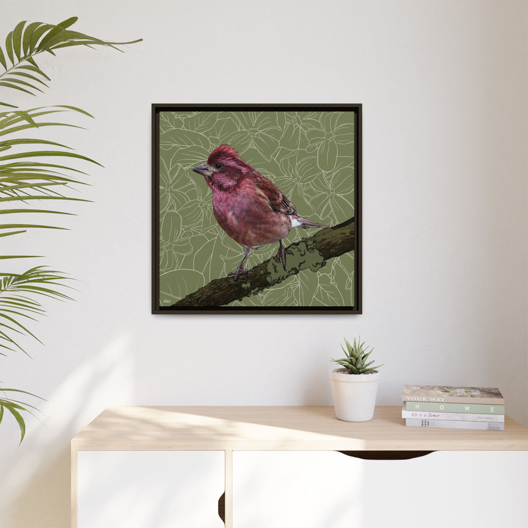 Purple Finch: New Hampshire State Bird — Framed Canvas Print Wall Art