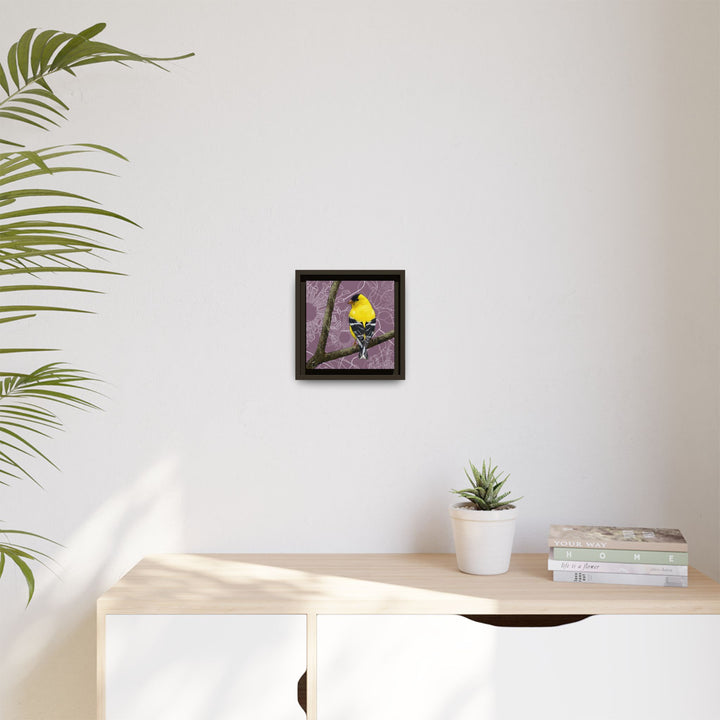 Goldfinch: Washington State Bird — Framed Canvas Print Wall Art