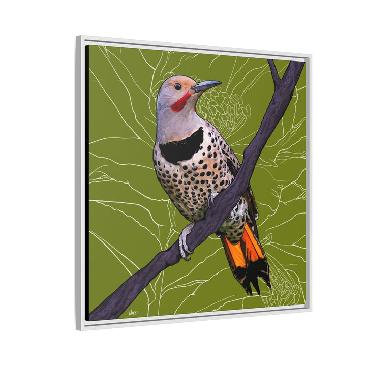 Northern Flicker (Yellowhammer): Alabama State Bird: — Framed Canvas Print Wall Art