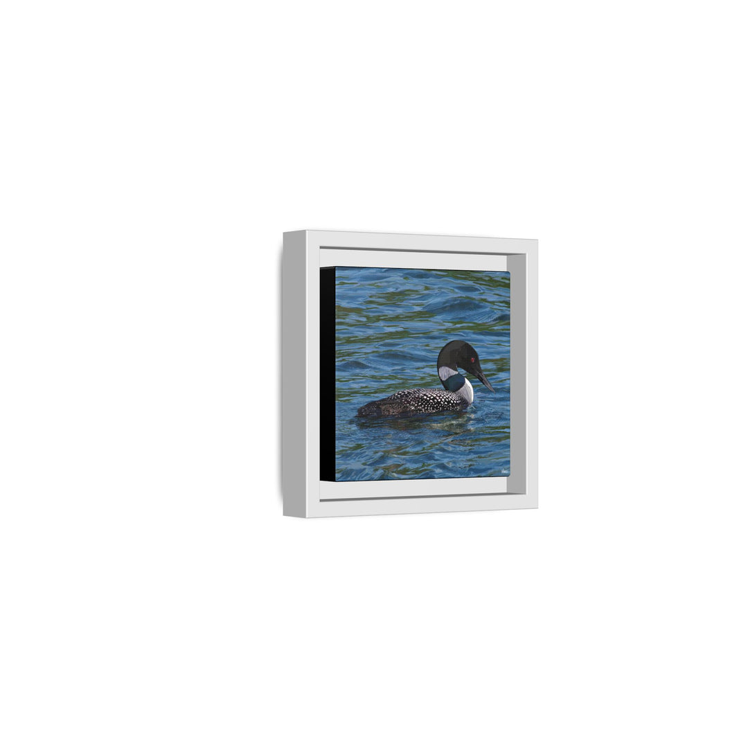 Common Loon: Minnesota State Bird — Framed Canvas Print Wall Art