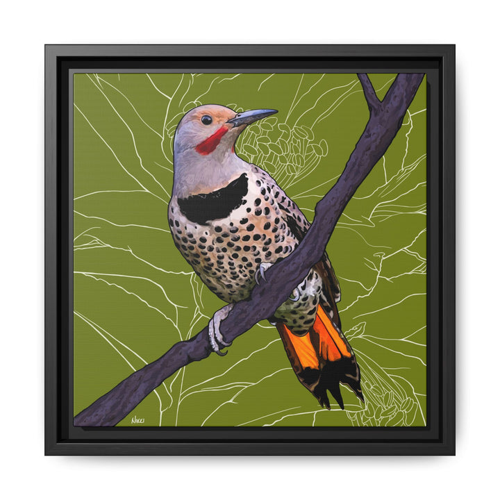 Northern Flicker (Yellowhammer): Alabama State Bird: — Framed Canvas Print Wall Art