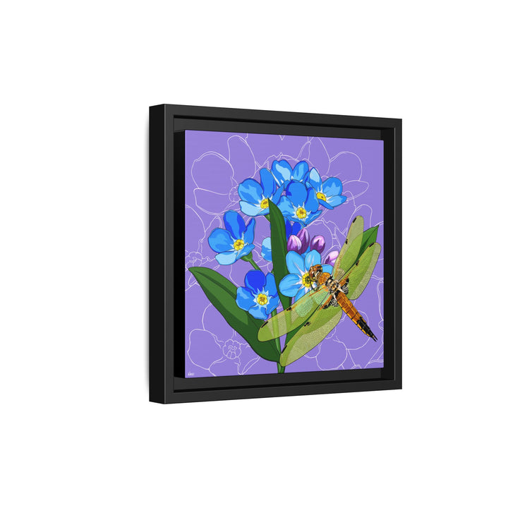 Alaska State Flower + Insect: Forget Me Not + Four-spot Skimmer Dragonfly — Framed Canvas Print Wall Art