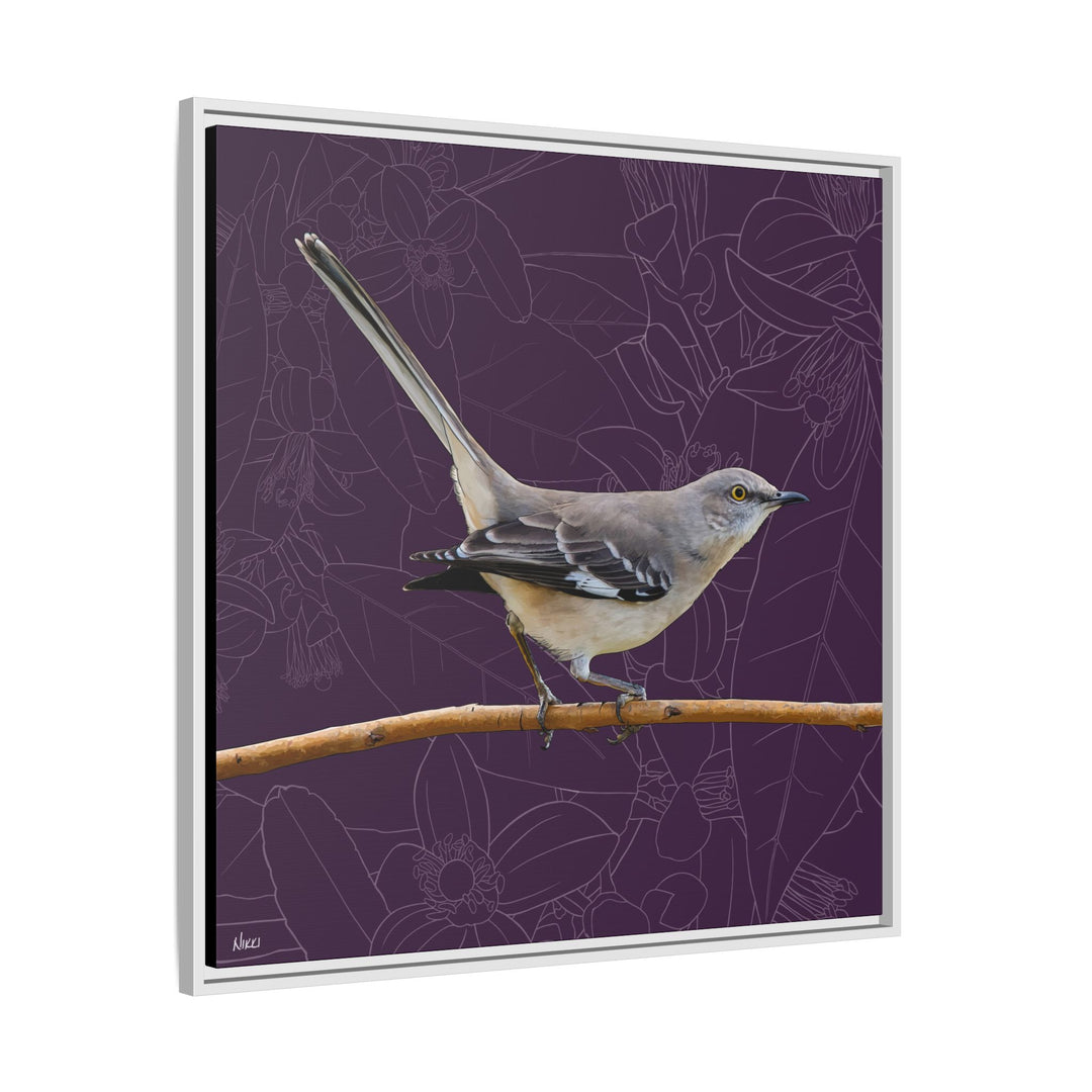 Northern Mockingbird: Florida State Bird — Framed Canvas Print Wall Art