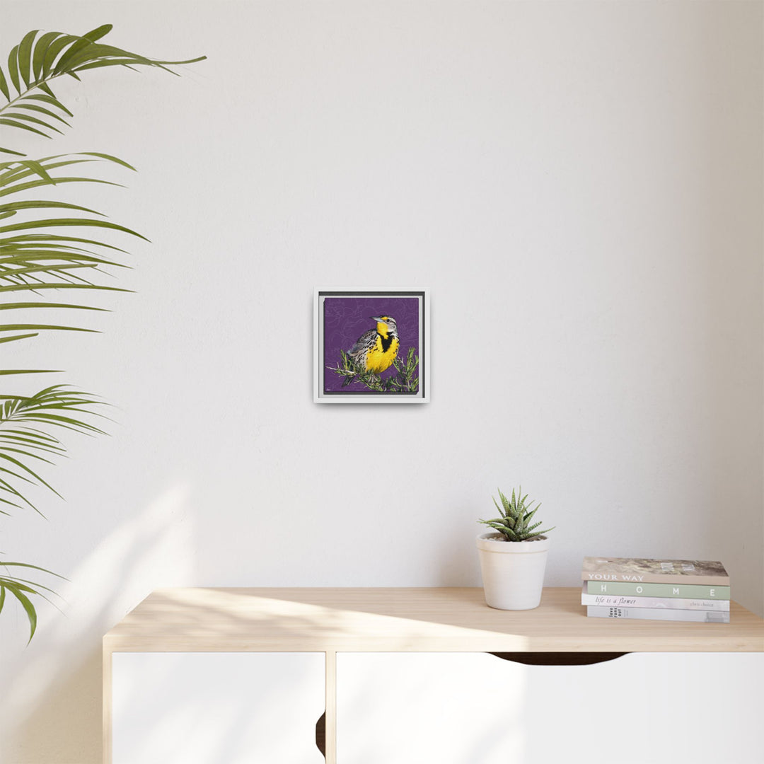 Western Meadowlark: North Dakota State Bird — Framed Canvas Print