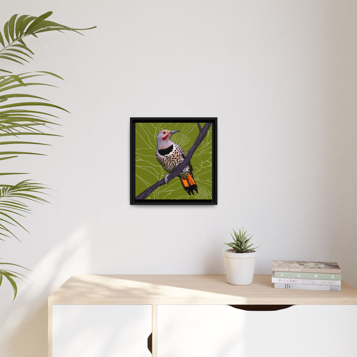 Northern Flicker (Yellowhammer): Alabama State Bird: — Framed Canvas Print Wall Art