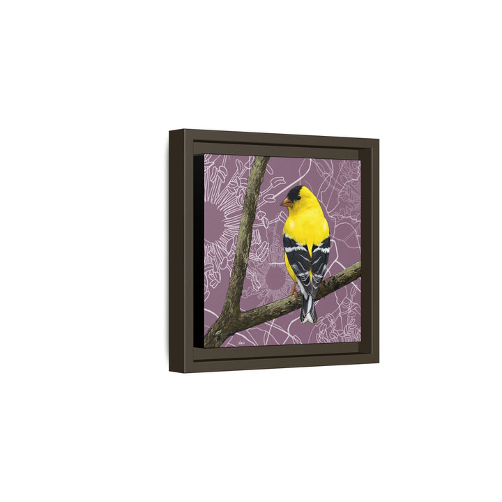 Goldfinch: Washington State Bird — Framed Canvas Print Wall Art