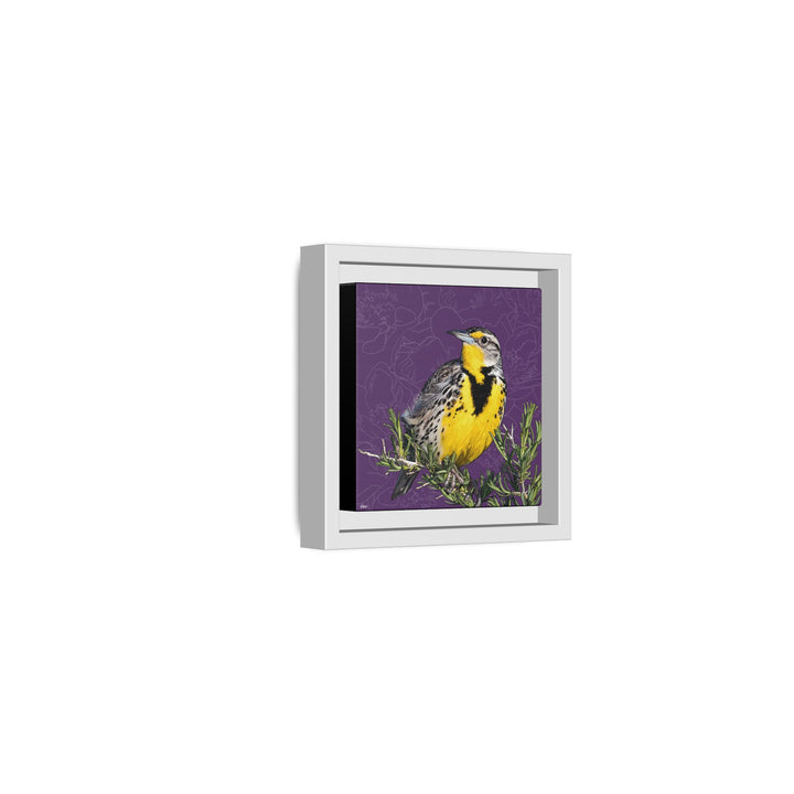 Western Meadowlark: North Dakota State Bird — Framed Canvas Print