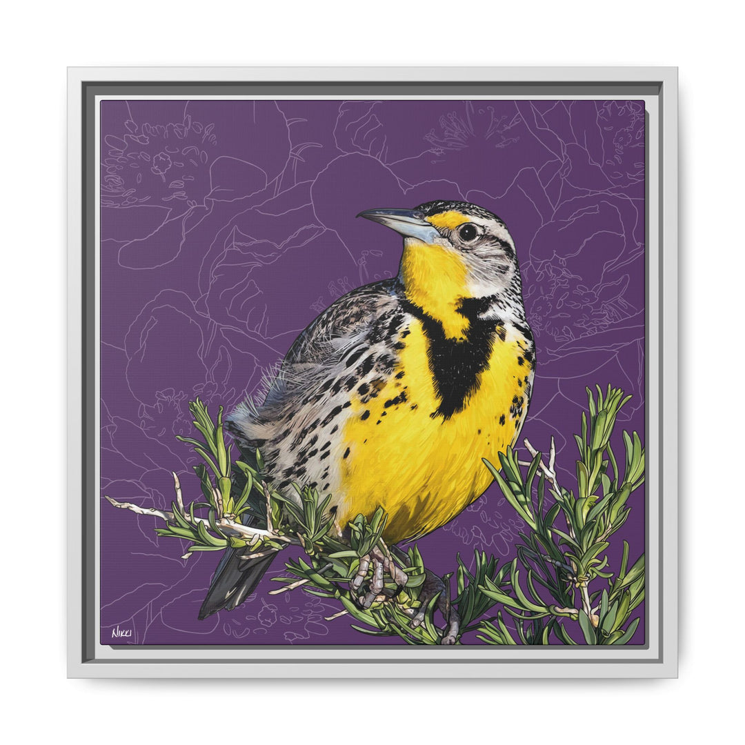 Western Meadowlark: North Dakota State Bird — Framed Canvas Print