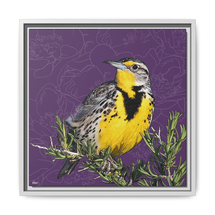 Western Meadowlark: North Dakota State Bird — Framed Canvas Print