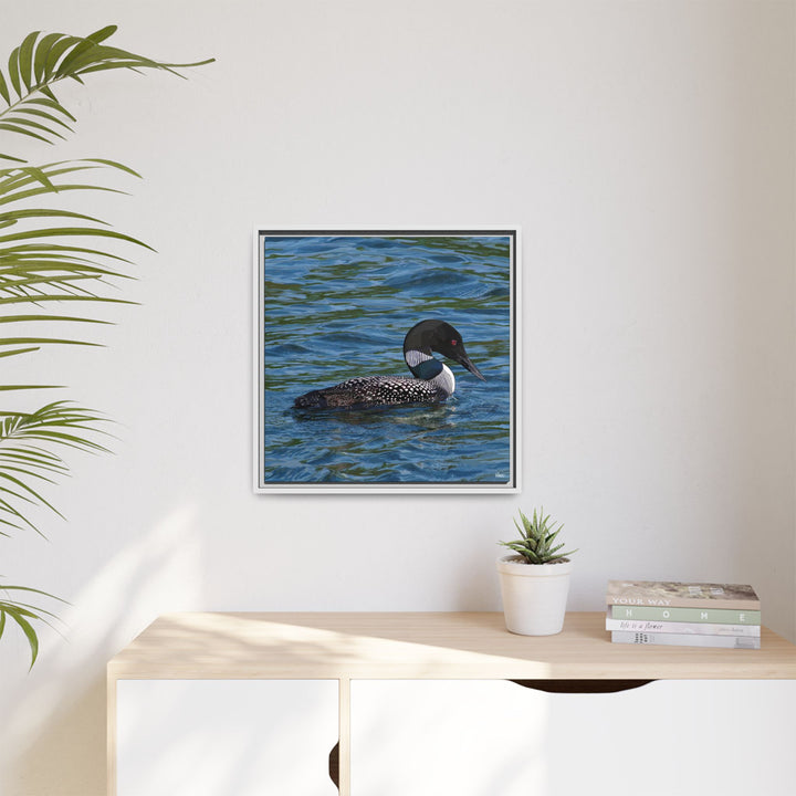 Common Loon: Minnesota State Bird — Framed Canvas Print Wall Art
